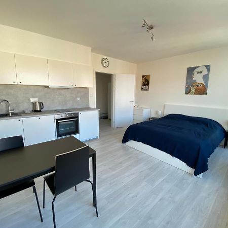 Cozy Studio With Garage In The City Center Plzeň Eksteriør bilde